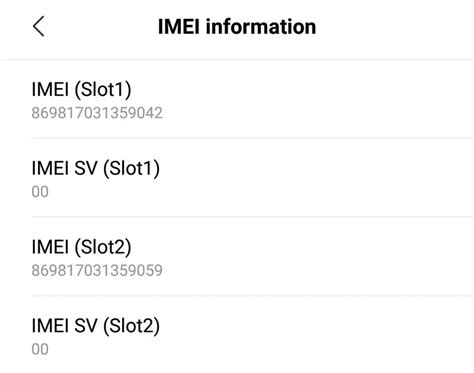 imei sv (slot 1)